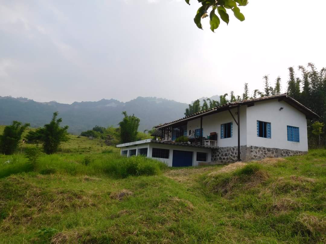 Terreno con casa en la Concha Ver