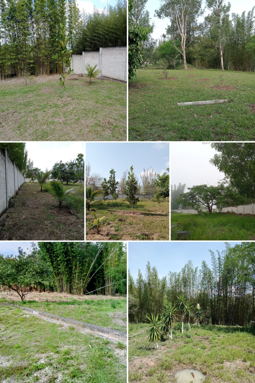 Lote Campestre en Privada Tres Pasos, Ver.